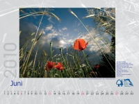 Kalender F´see 2010.indd